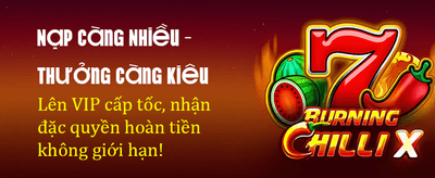 Trải Nghiệm Đỉnh Cao Hôm Nay
