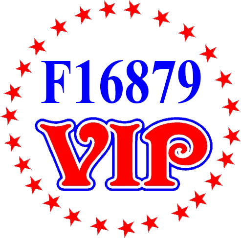 vnf16879vip.com Logo